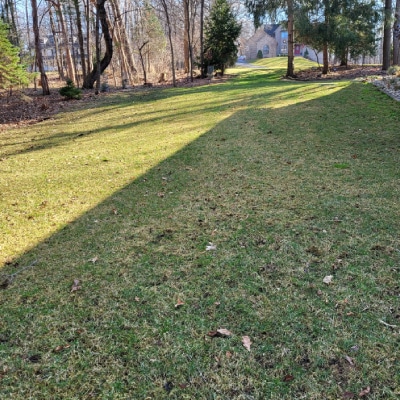 LAWN CARE